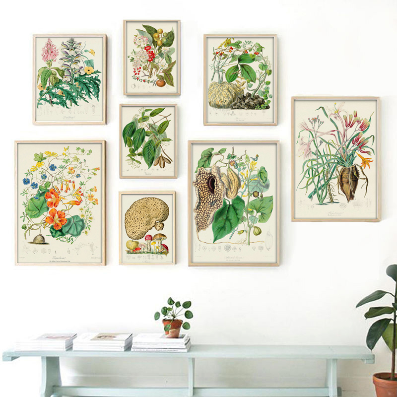 Botanik Koleksiyonu, Vintage P - Vintage Collectible Posters incelemesi ve fiyatı