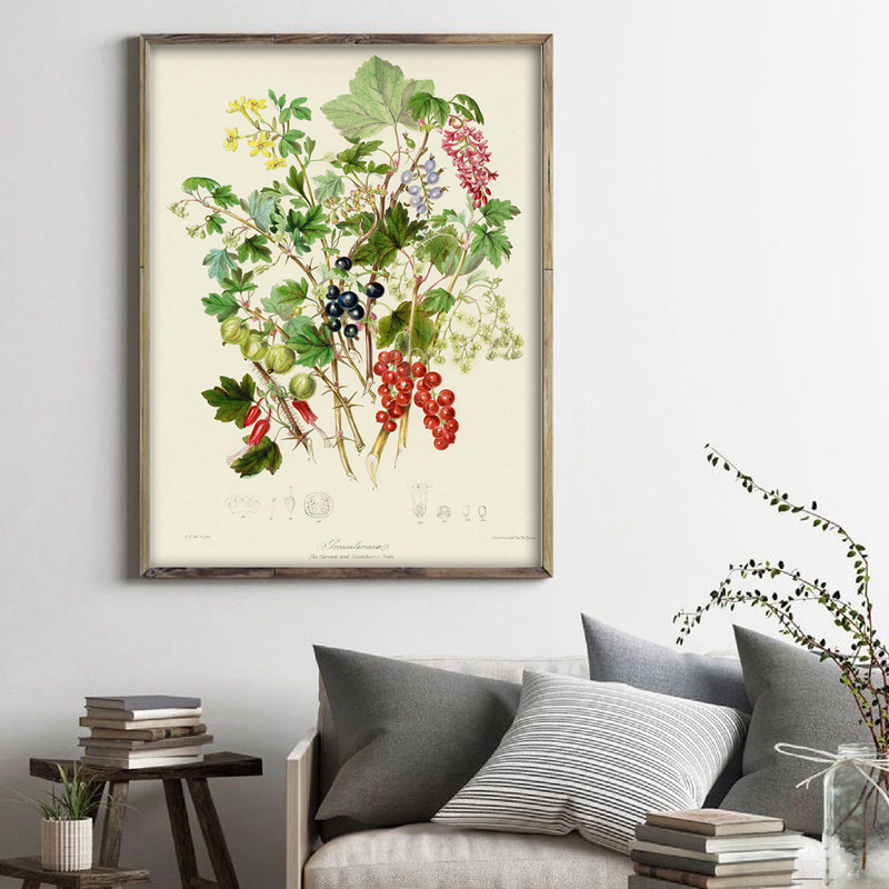 Botanik Koleksiyonu, Vintage P - Vintage Collectible Posters incelemesi ve fiyatı